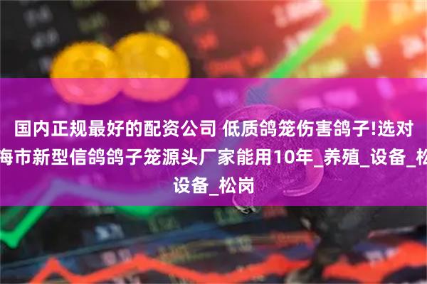 国内正规最好的配资公司 低质鸽笼伤害鸽子!选对珠海市新型信鸽鸽子笼源头厂家能用10年_养殖_设备_松岗